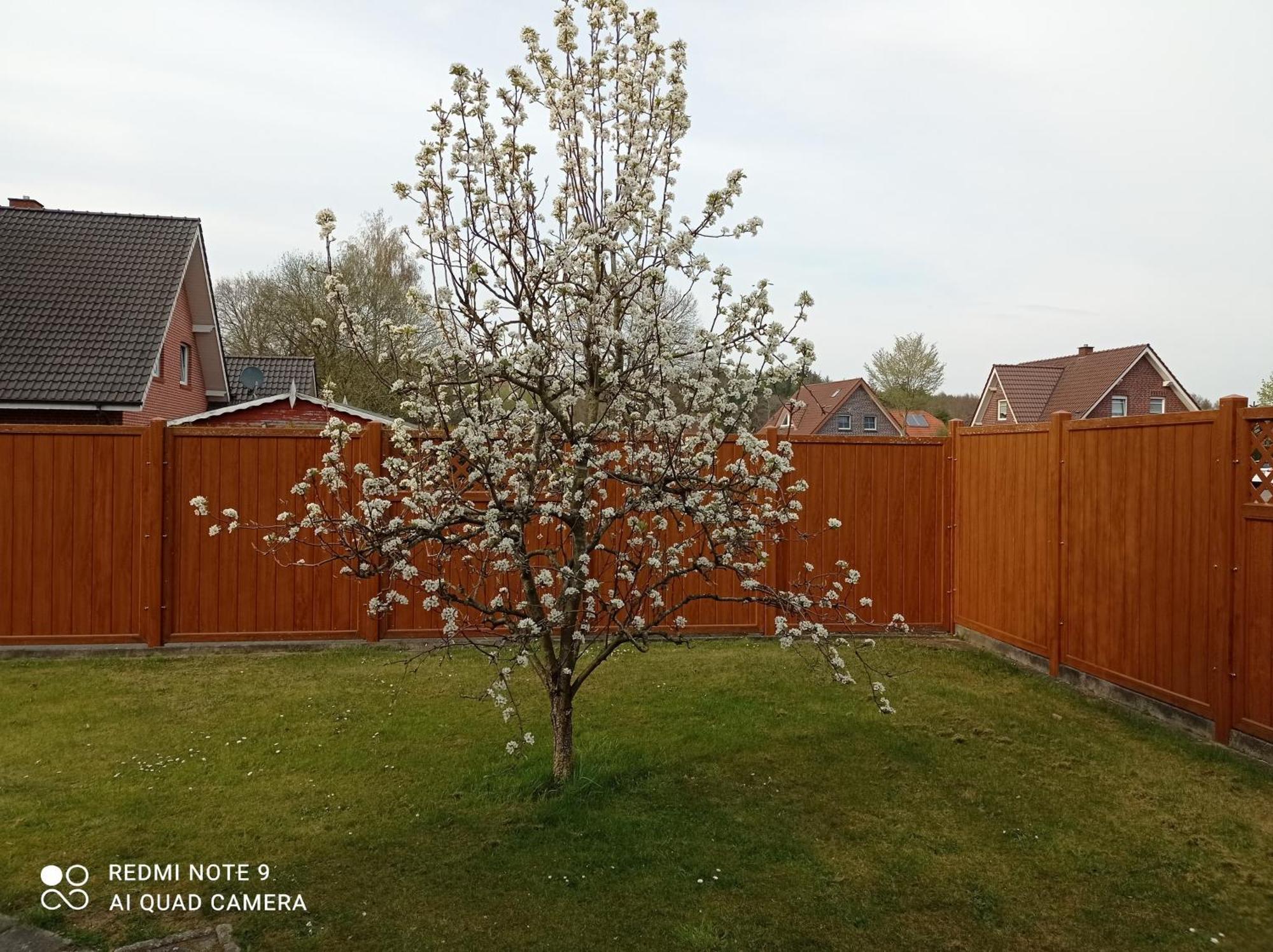 Ferienwohnung Gerda Lathen Exteriér fotografie